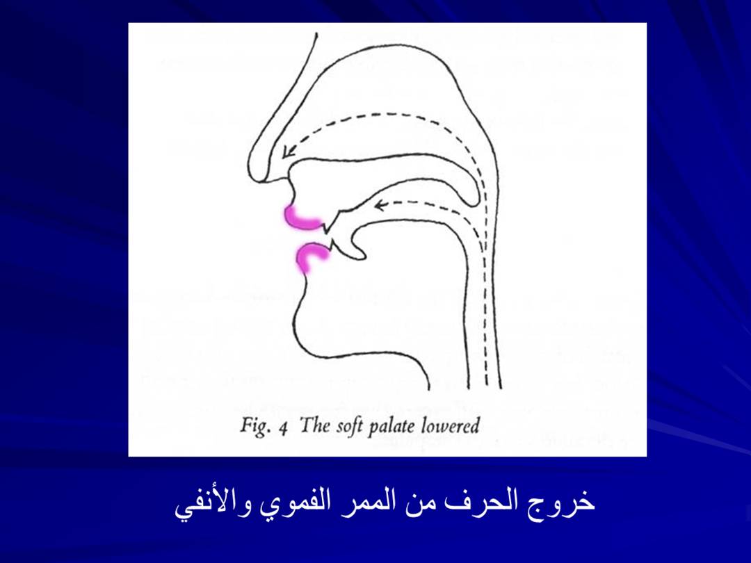 تجويد الحرف - مخارج الحروف